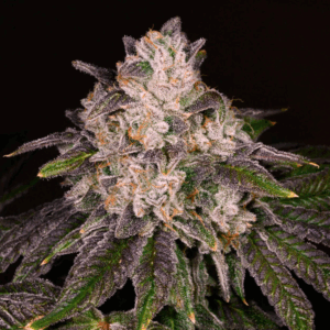 Strawnana