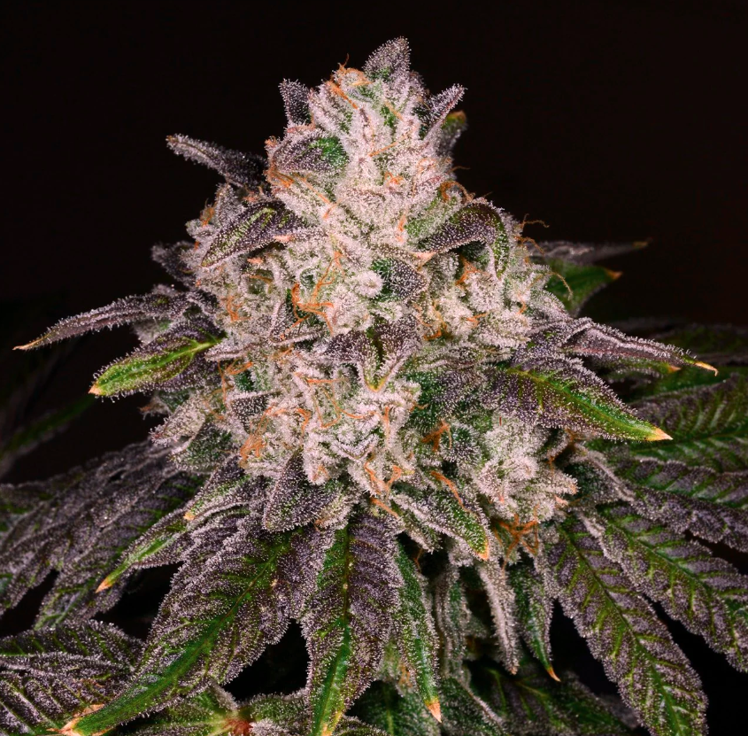 Strawnana