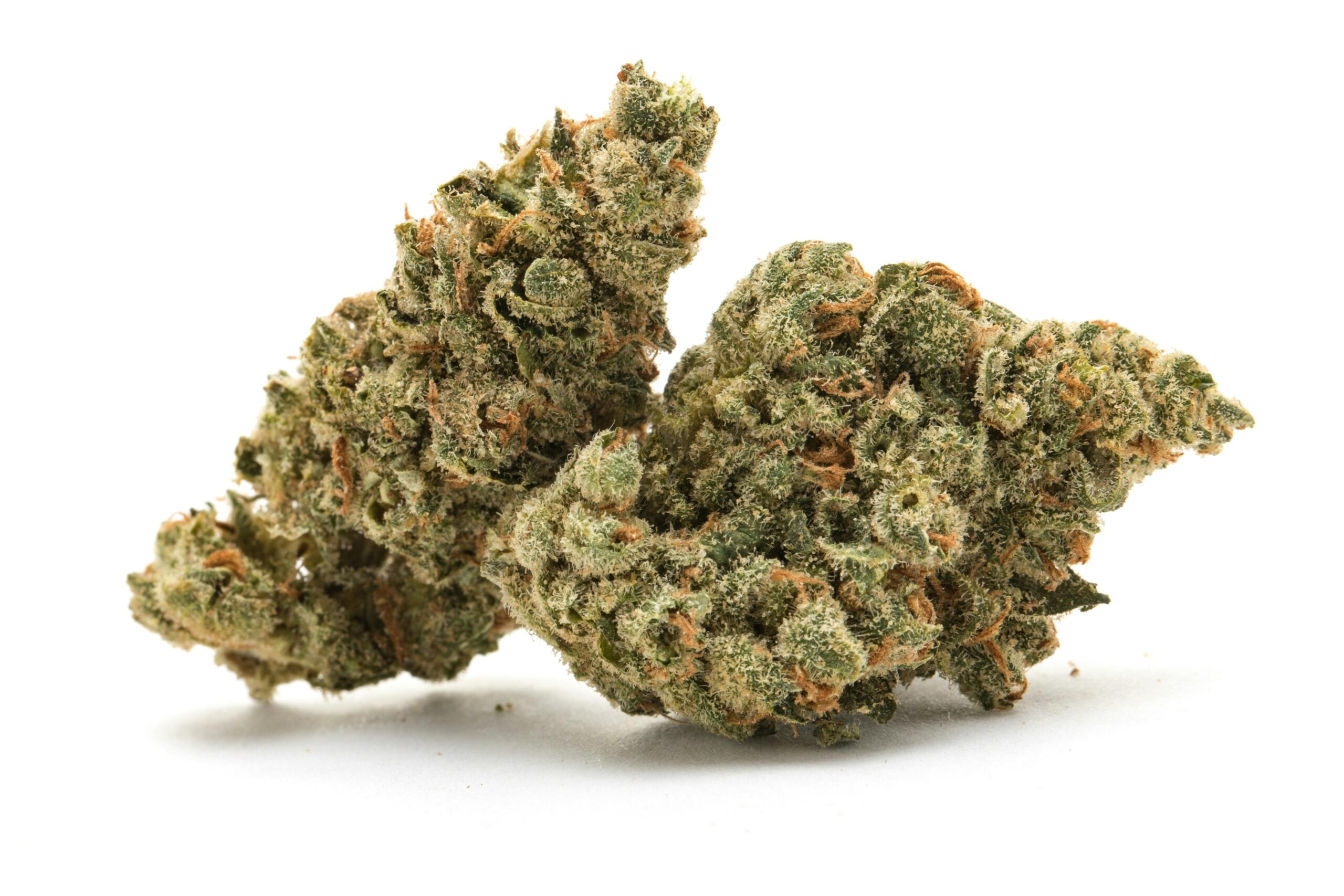 Gushers Confidential