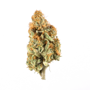 Black Cheese