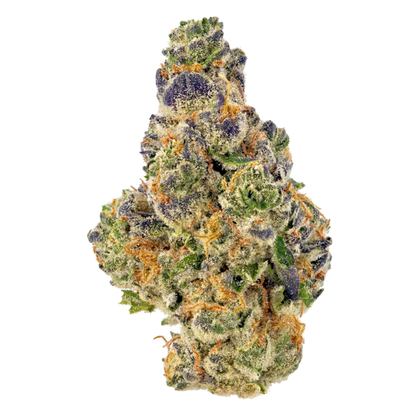 strain-5