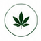 Marijuana Plants Online - Healthy Starts Icon