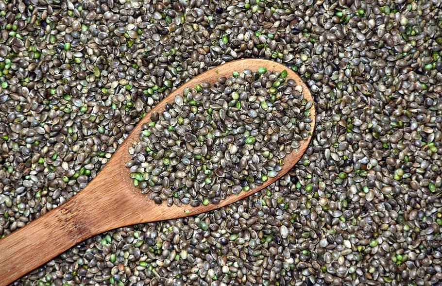 Marijuana Seeds for Sale